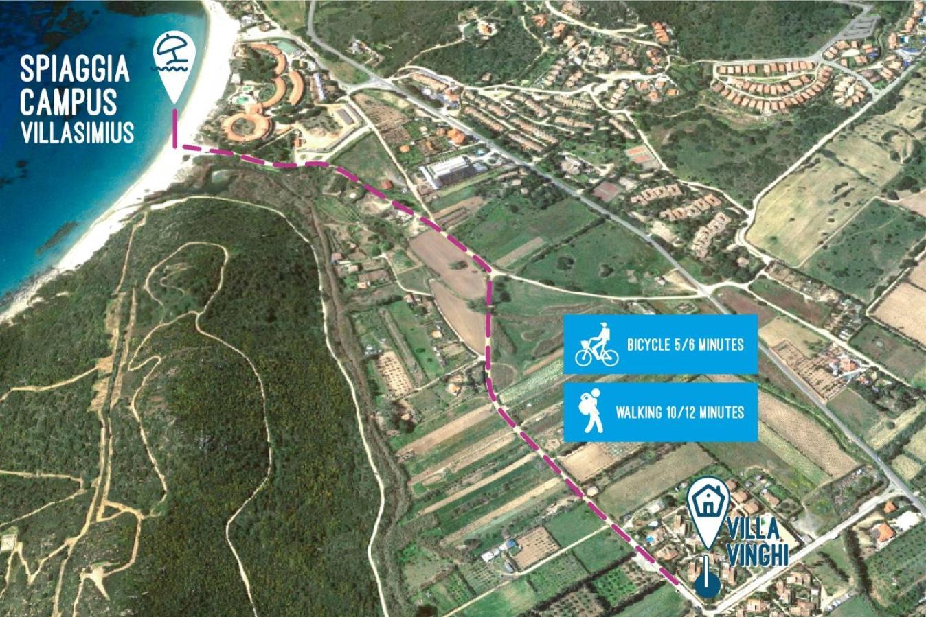 Vinghi -